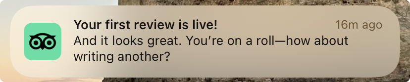 Tripadvisor push notification